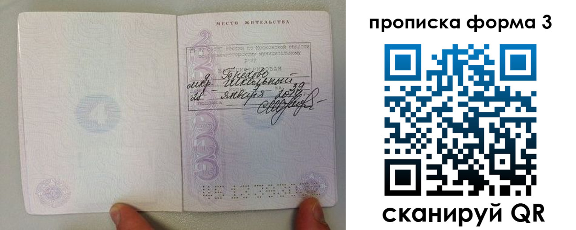 прописка гарантия в Дятьково